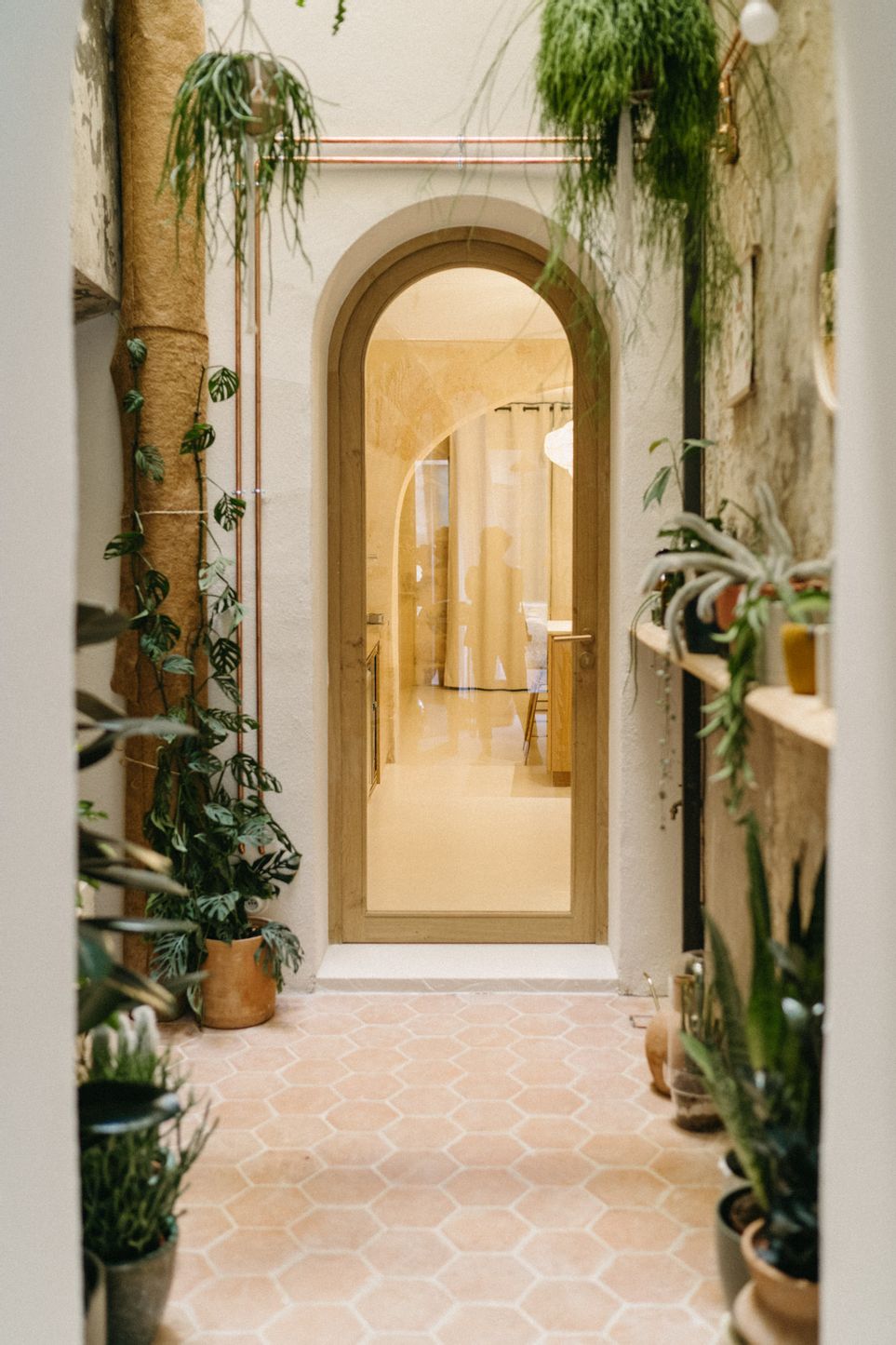 Photo de la boutique Pop-up Fernand 6